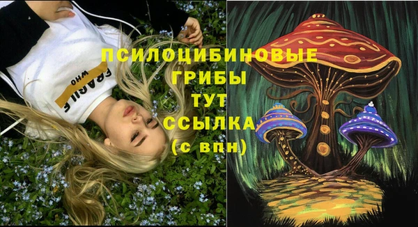шишки Алзамай